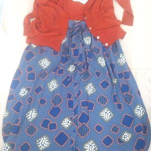 Anthropologie midi skirt